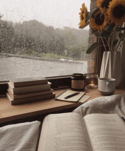 Books by the window