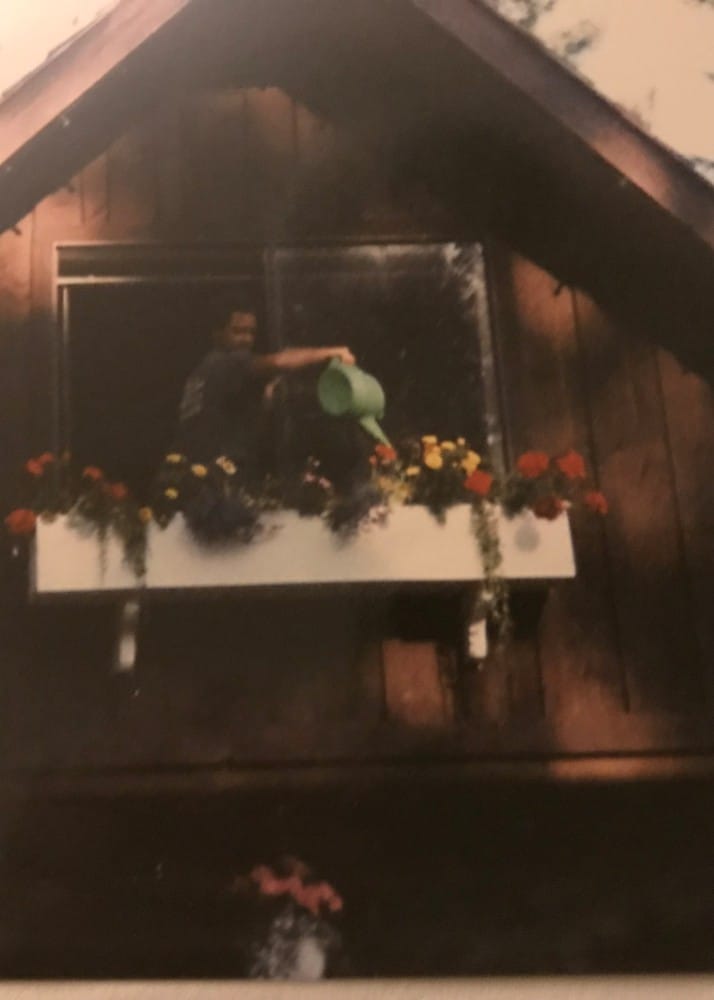 Watering window flower boxes